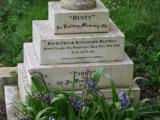 image of grave number 685303